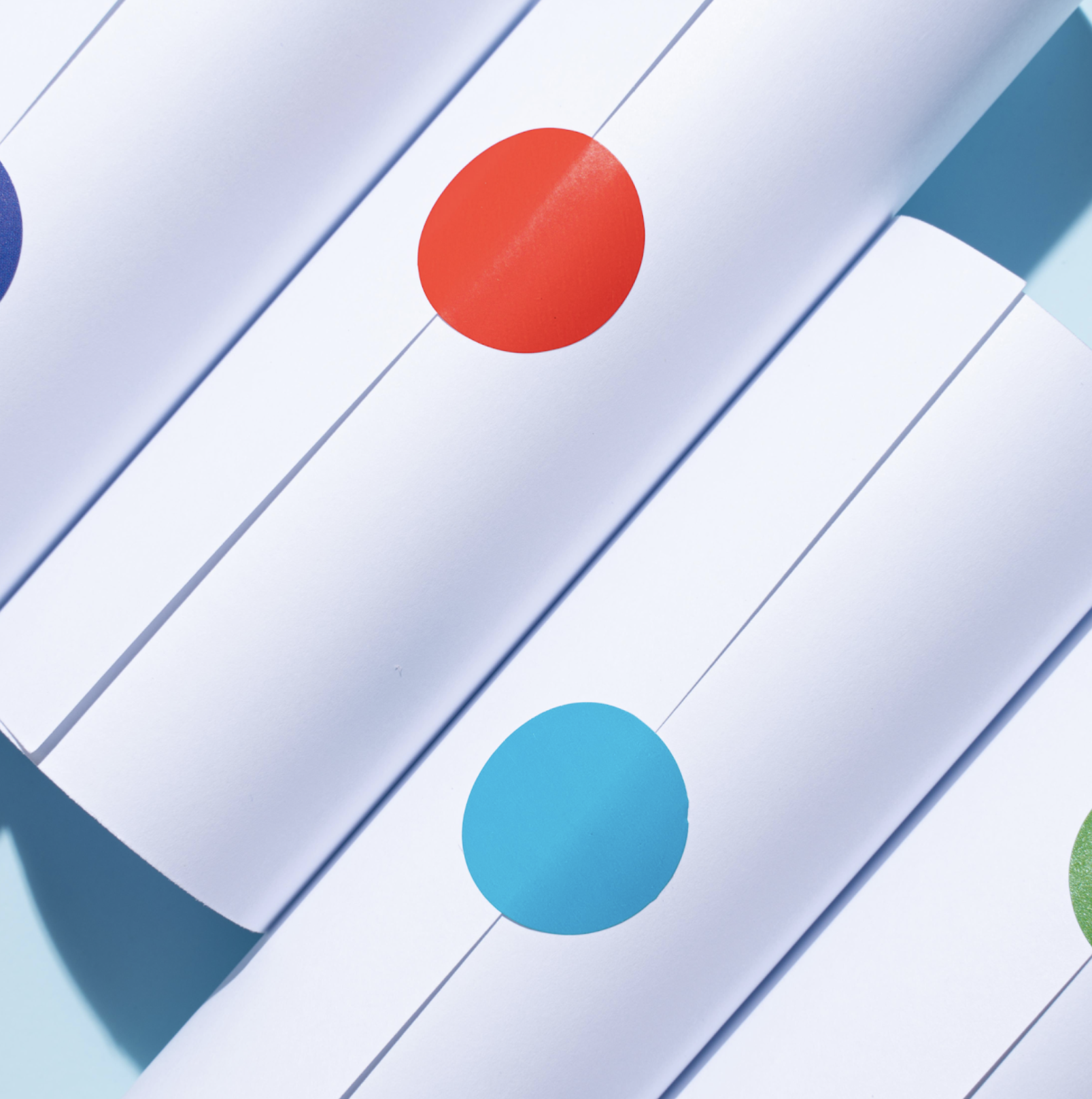 Assessment Service Providers